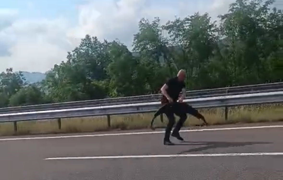 Canını Hiçe Saydı, Kazayı Önlemek İçin Otoyola Atladı! 02