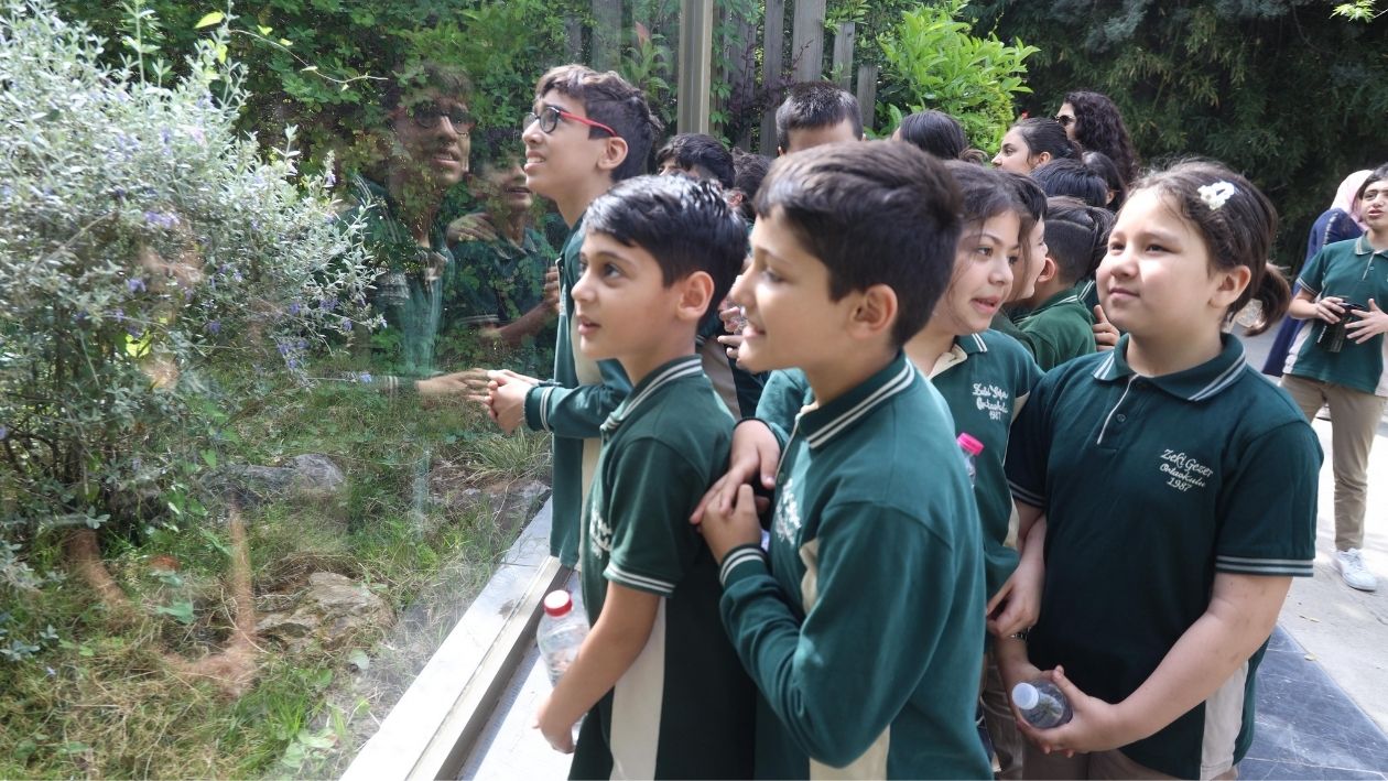 Darıcalı Çocuklar Hayvanat Bahçesini Gezdi 3