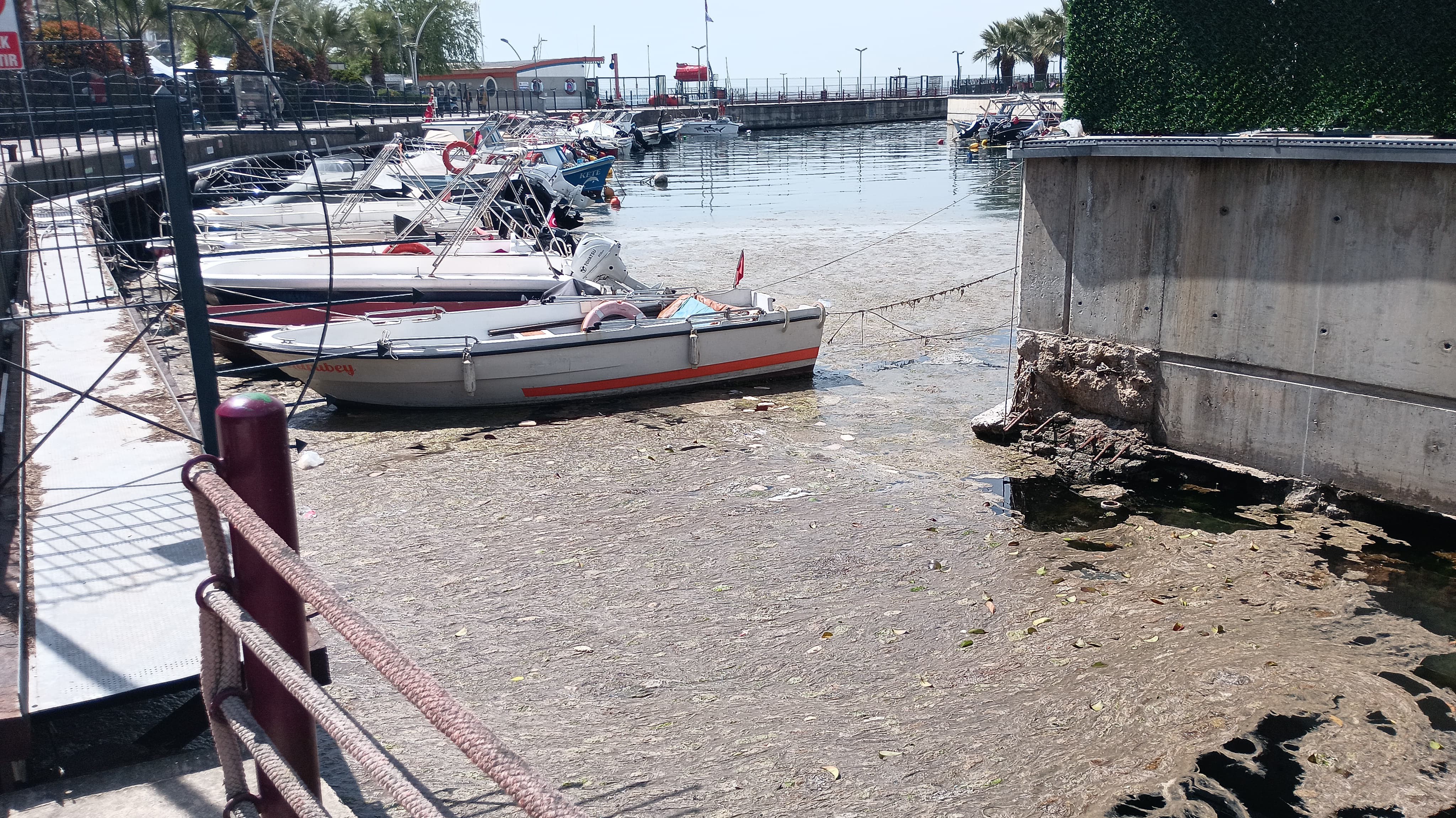 Karamürsel Alarm Veriyor! 2