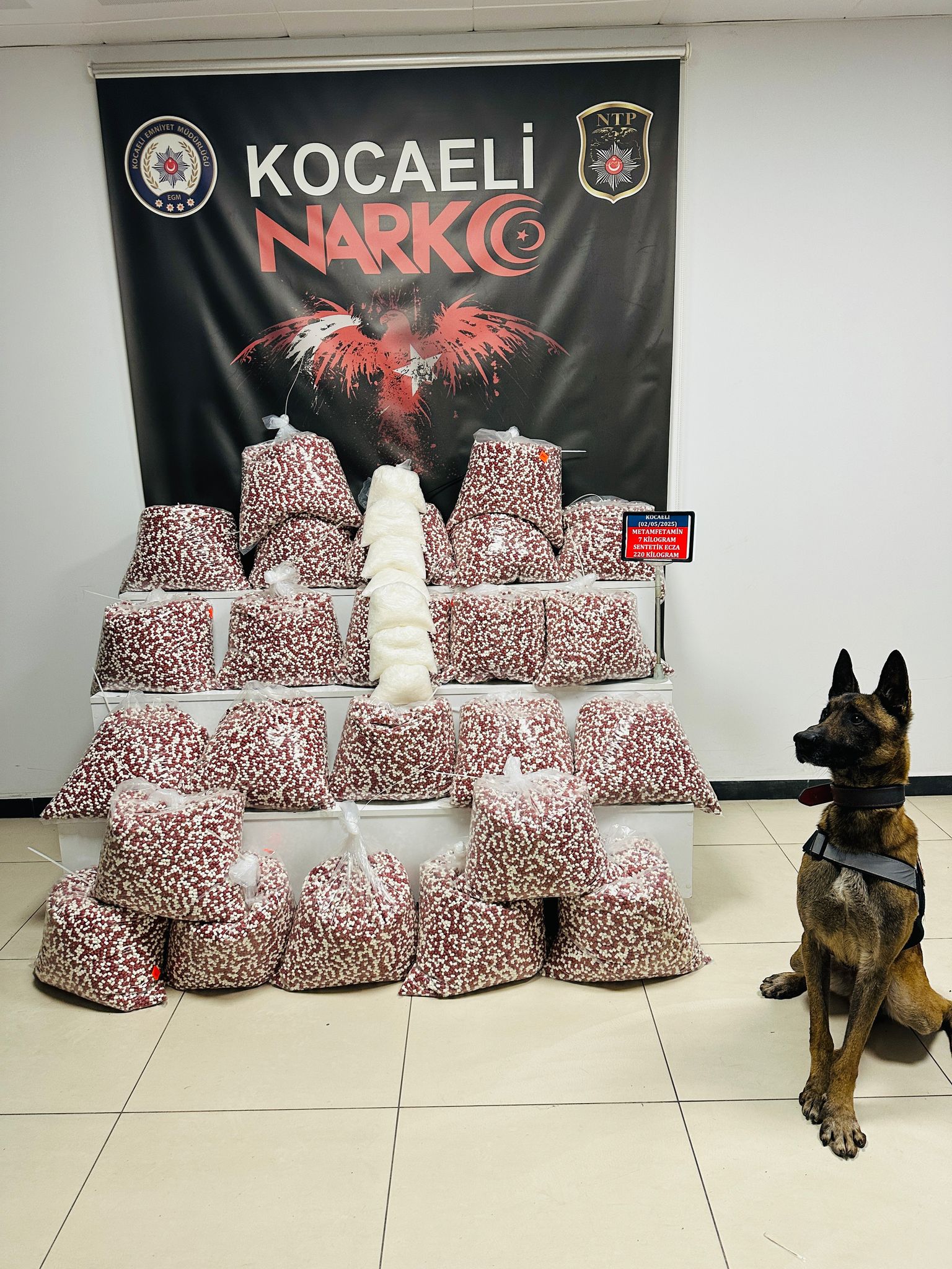 Kocaeli'de Uyuştucu Operasyonu Narkotik Köpeği 220 Kilo Uyuşturucu Yakaladı 3