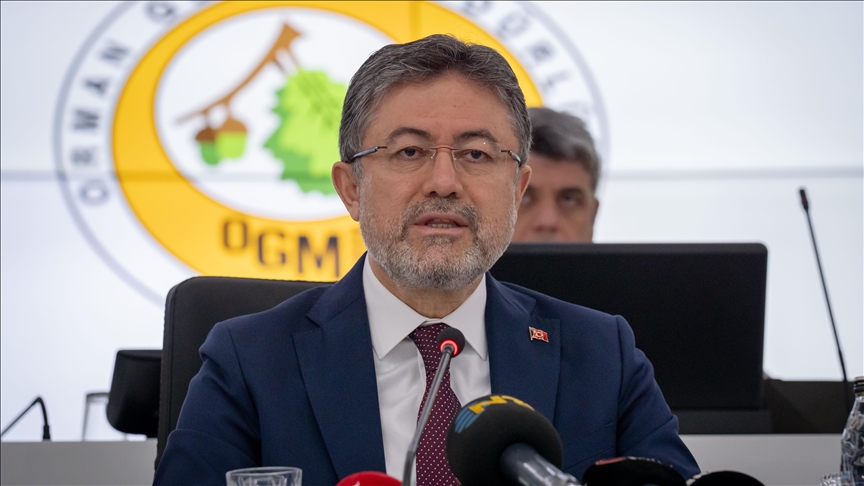 Orman Yangını