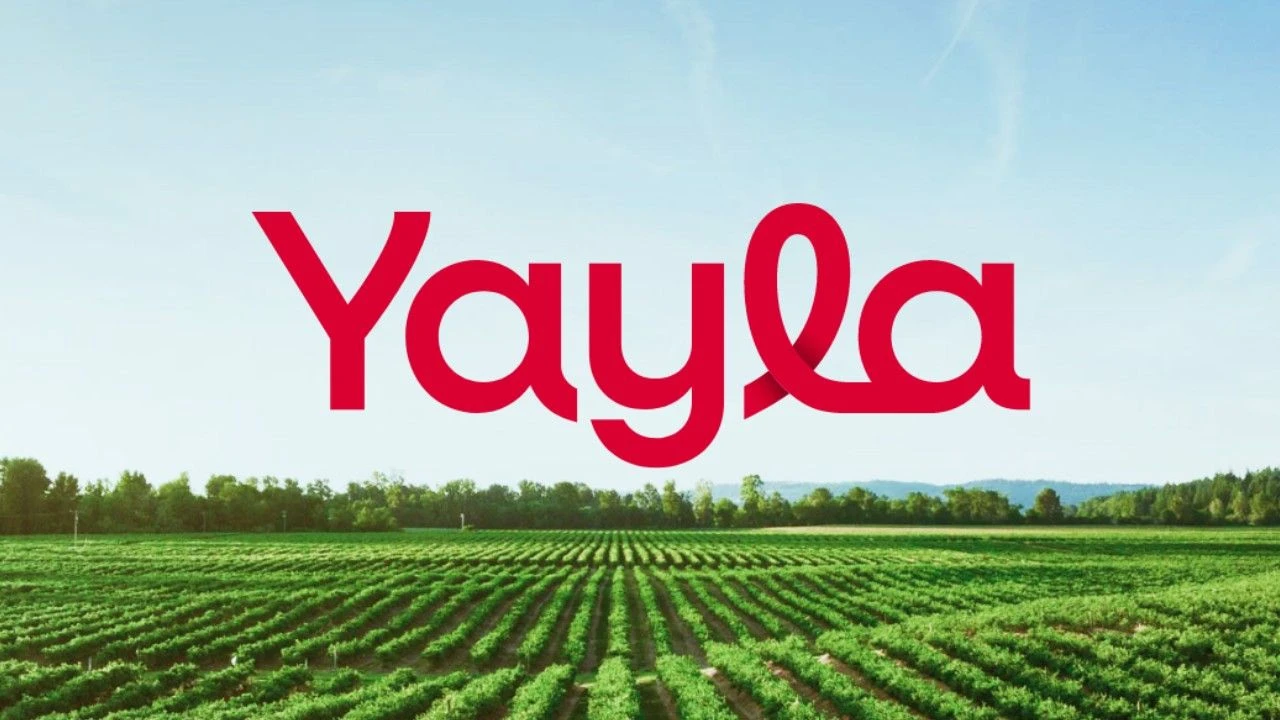 Yayla