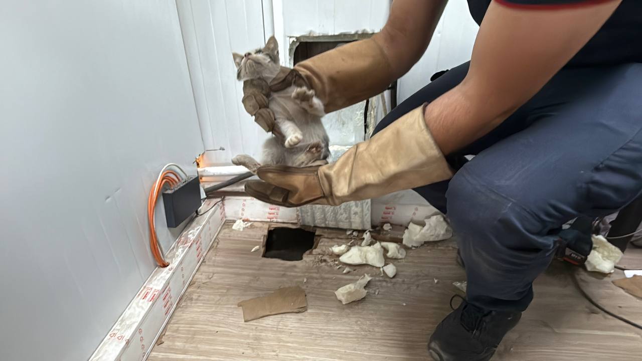 Bu Sefer Operasyon Patili Can İçin 1