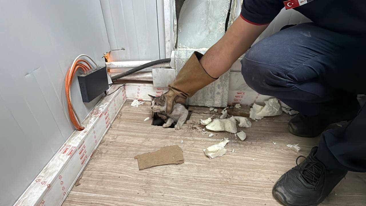 Bu Sefer Operasyon Patili Can İçin 3