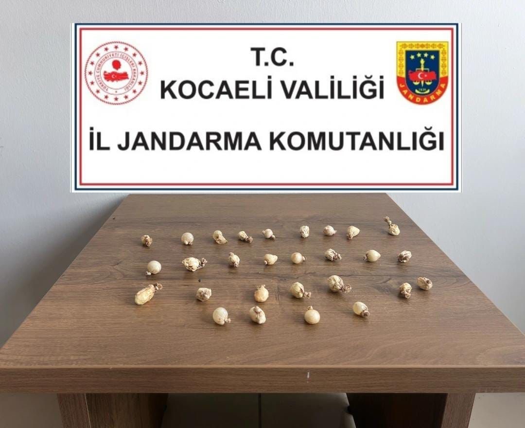 Hastalanınca Ortaya Çıktı! Midesinden Çıkanlar Şok Etti!