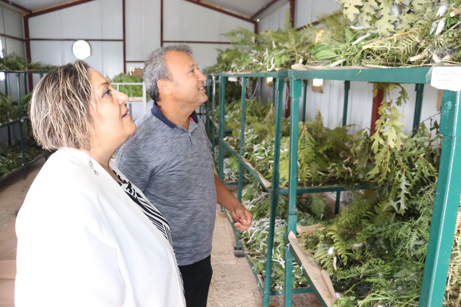 Izmit Belediye Baskan Yardimcisi Neslihan Çakir'dan Kirsal Kalkinma Alanlarinda Inceleme (5)