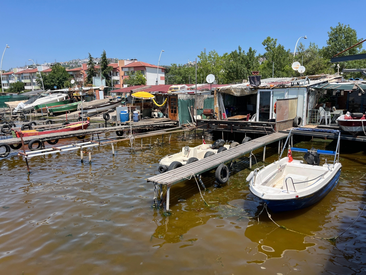Izmit Korfezinde Denizin Kiyisi Kahverengiye Dondu Aapicture2025061938321446
