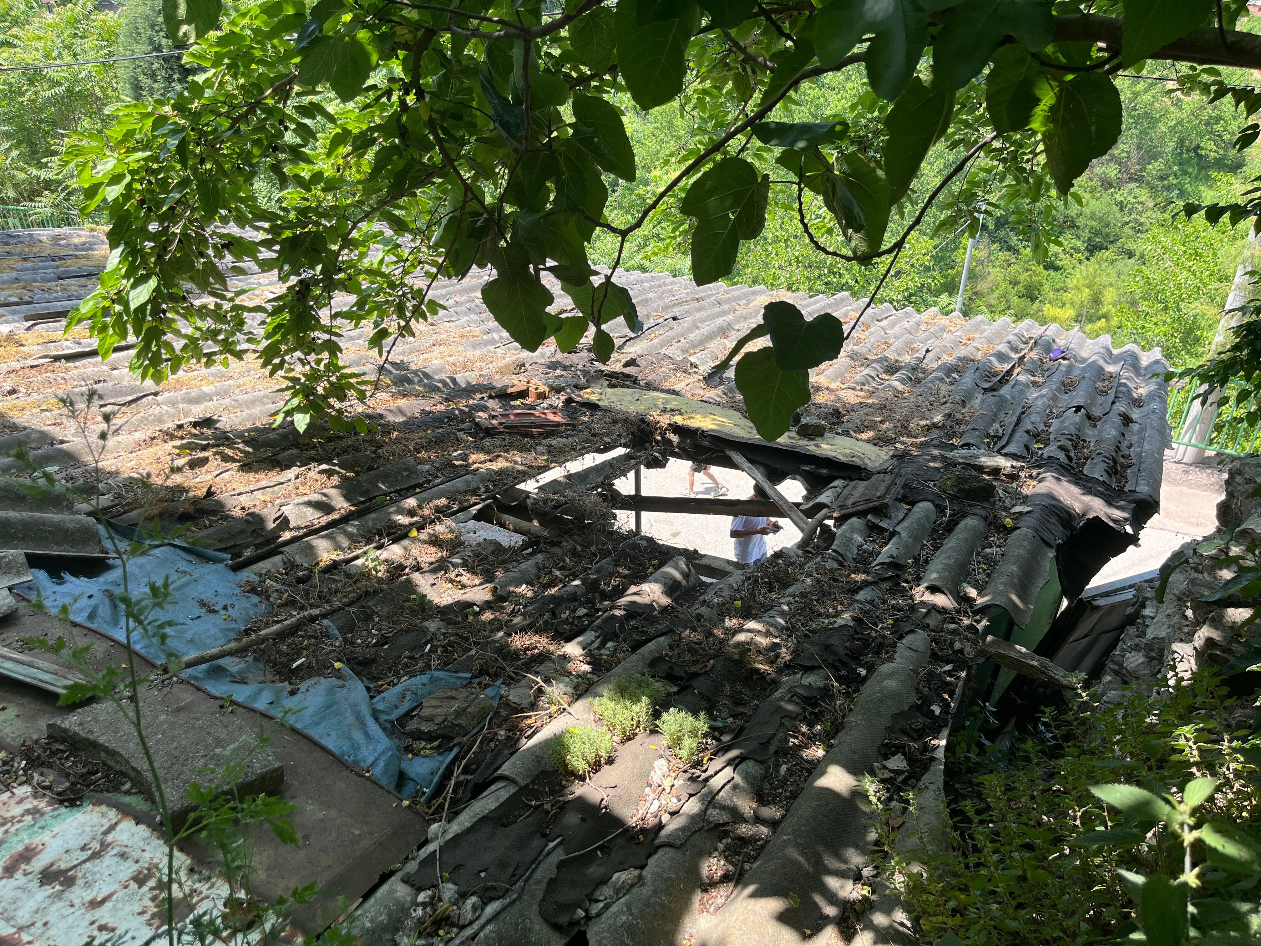 Kocaeli'de İpini Koparan Boğa 3 Metreden Düştü 01