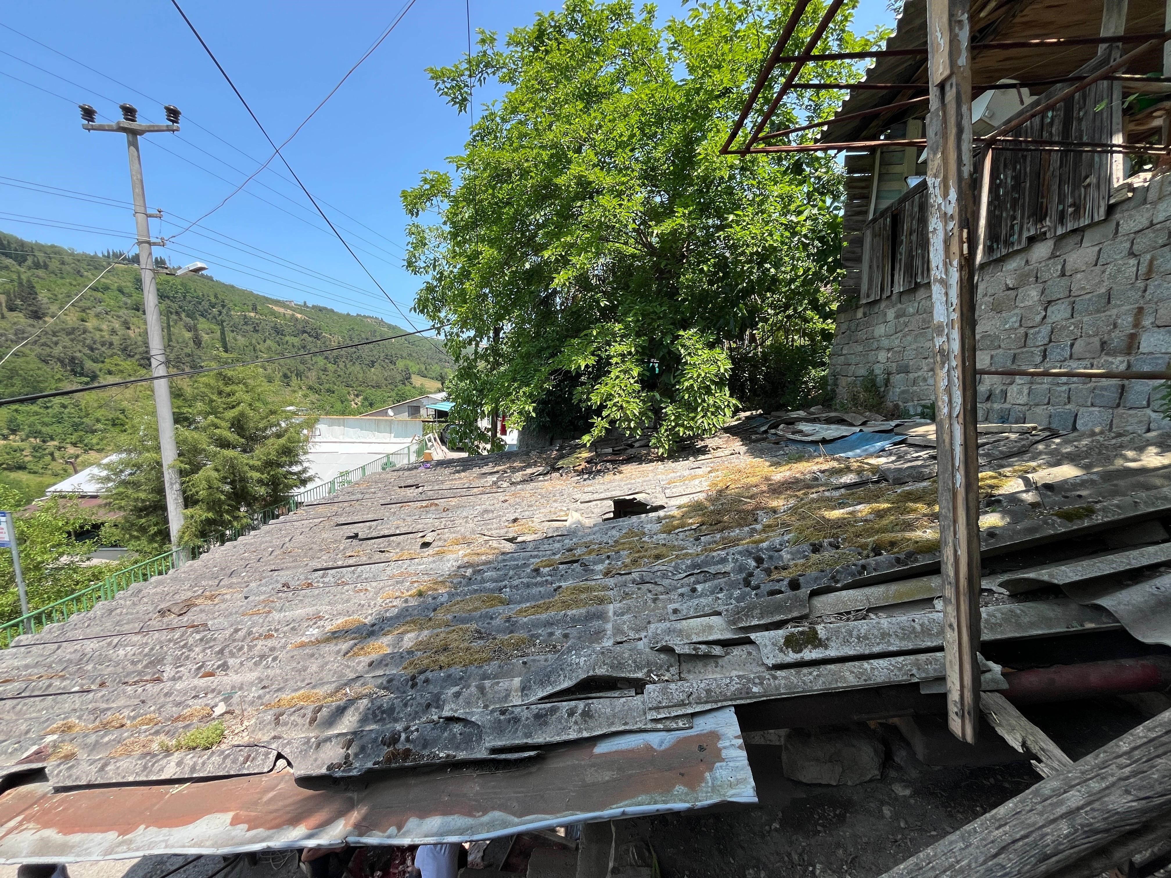 Kocaeli'de İpini Koparan Boğa 3 Metreden Düştü 02