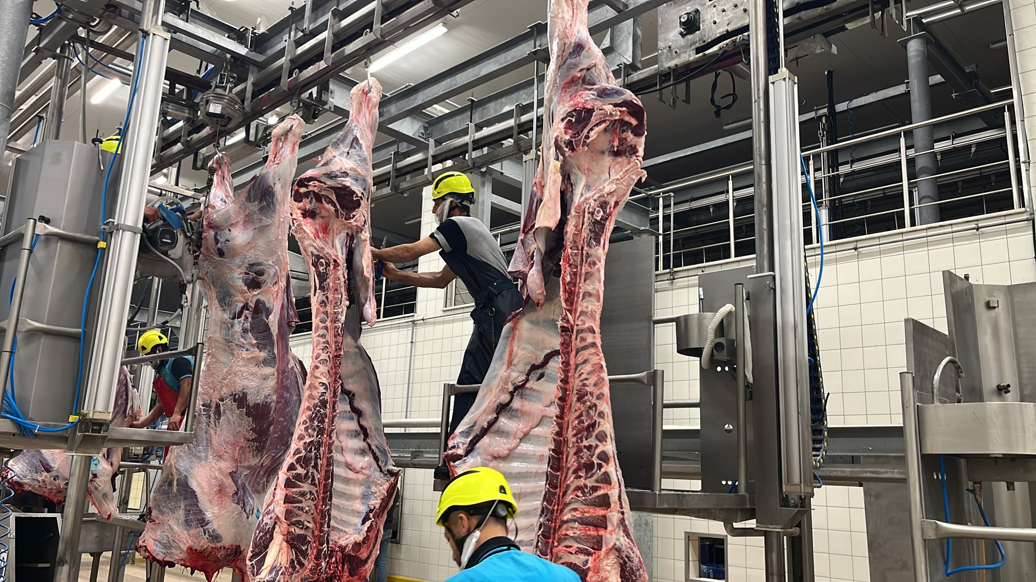 Sakatatları Açık Halde Çöpe Atmayın (1)