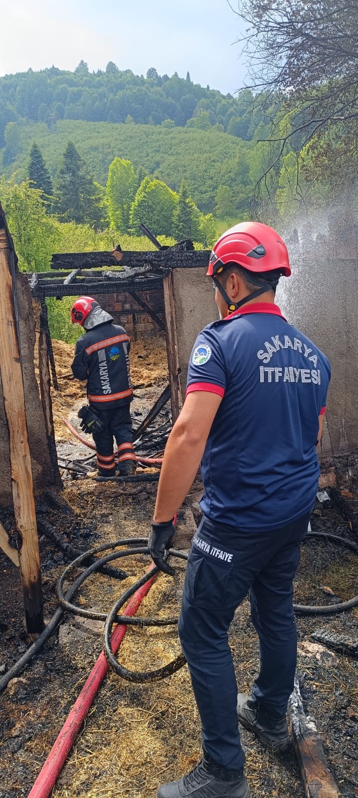 Samanlık Küle Döndü 24 Civciv Yanarak Can Verdi! (2)