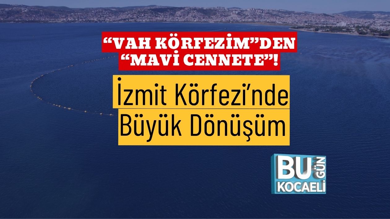 “Vah Körfezim”den “Mavi Cennete”! İzmit Körfezi’nde Büyük Dönüşüm