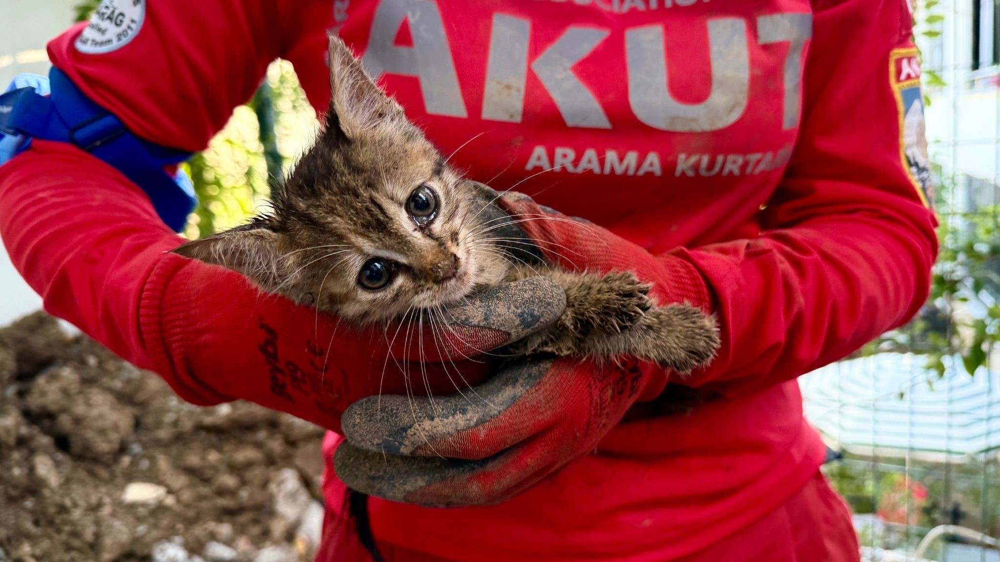 7 Günlük Umut Mücadelesi! Mahsur Kalan Yavru Kedi Kurtarıldı (8)
