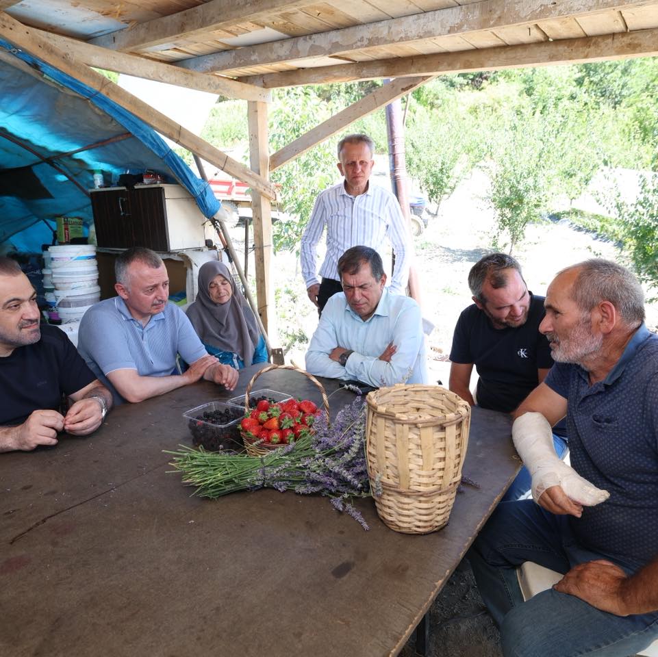 Başkan Büyükakın Çilek Hasadına Katıldı (3)