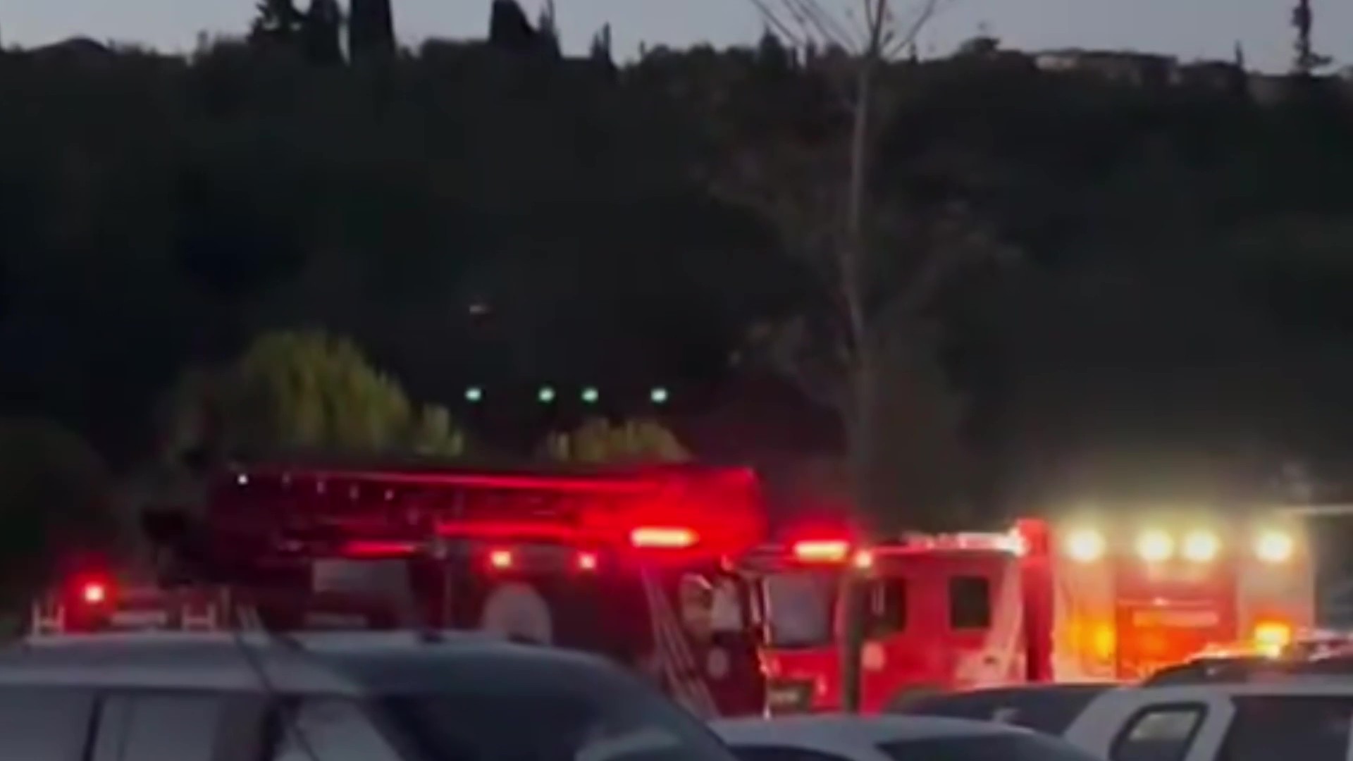 Darıca Millet Bahçesi’nde Yangın Paniği (2)