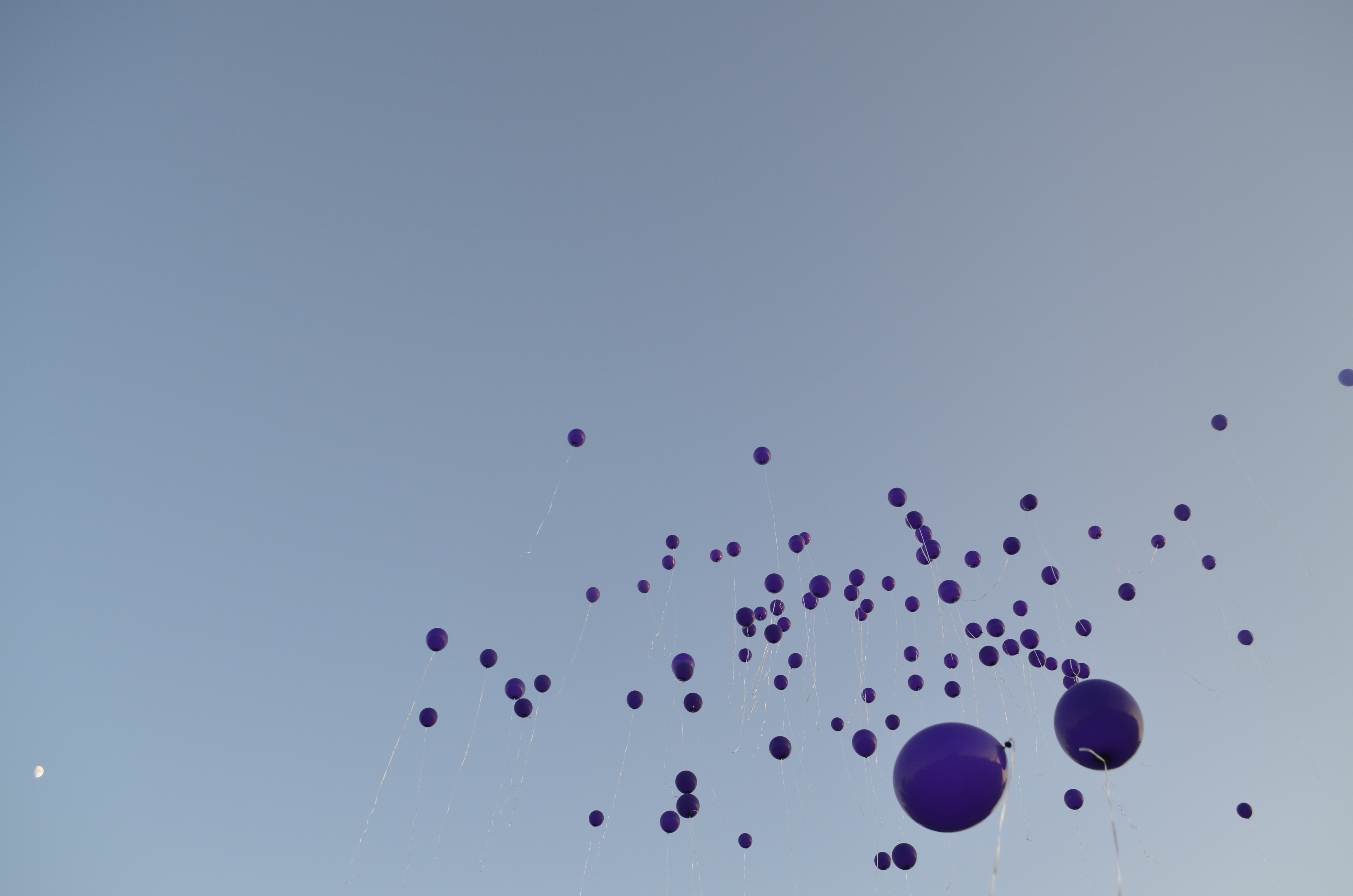 Darıca’da Epilepsi Farkındalığı İçin 400 Mor Balon Uçuruldu (6)