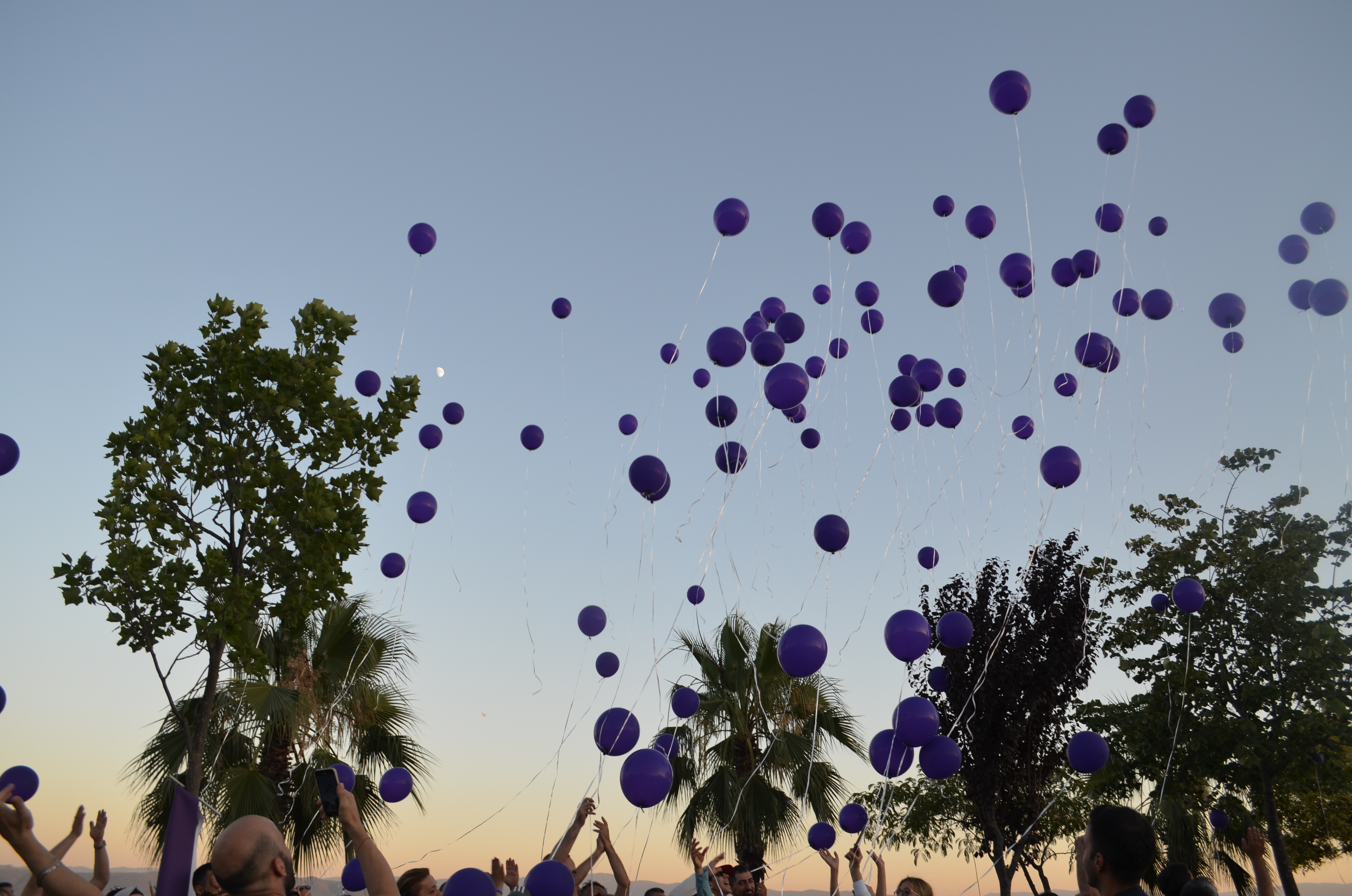 Darıca’da Epilepsi Farkındalığı İçin 400 Mor Balon Uçuruldu (9)