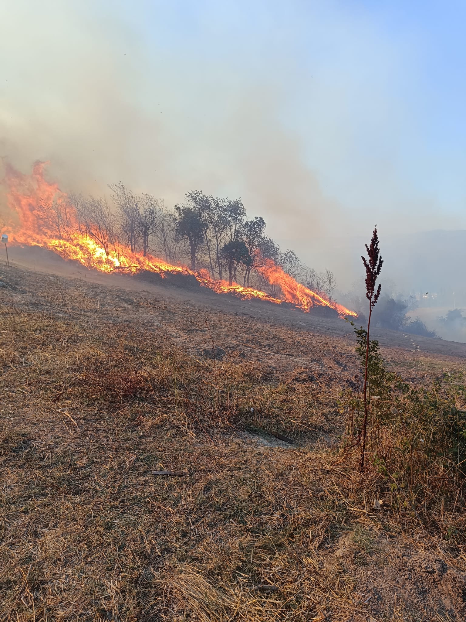 Gebze’de 3 Katlı Binada Yangın Paniği (2)