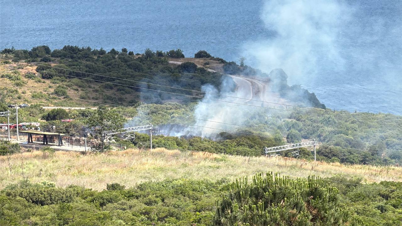 Gebze'de Korkutan Makilik Yangını Kontrol Altına Alındı (2)