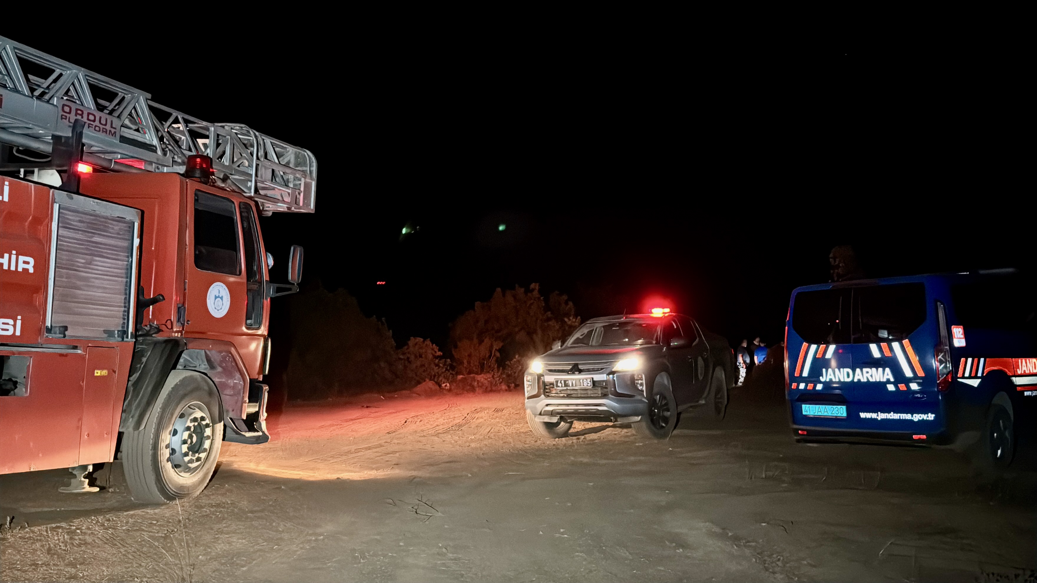 Gebze’de Orman Yangını! Alevler Geceyi Aydınlattı (1)
