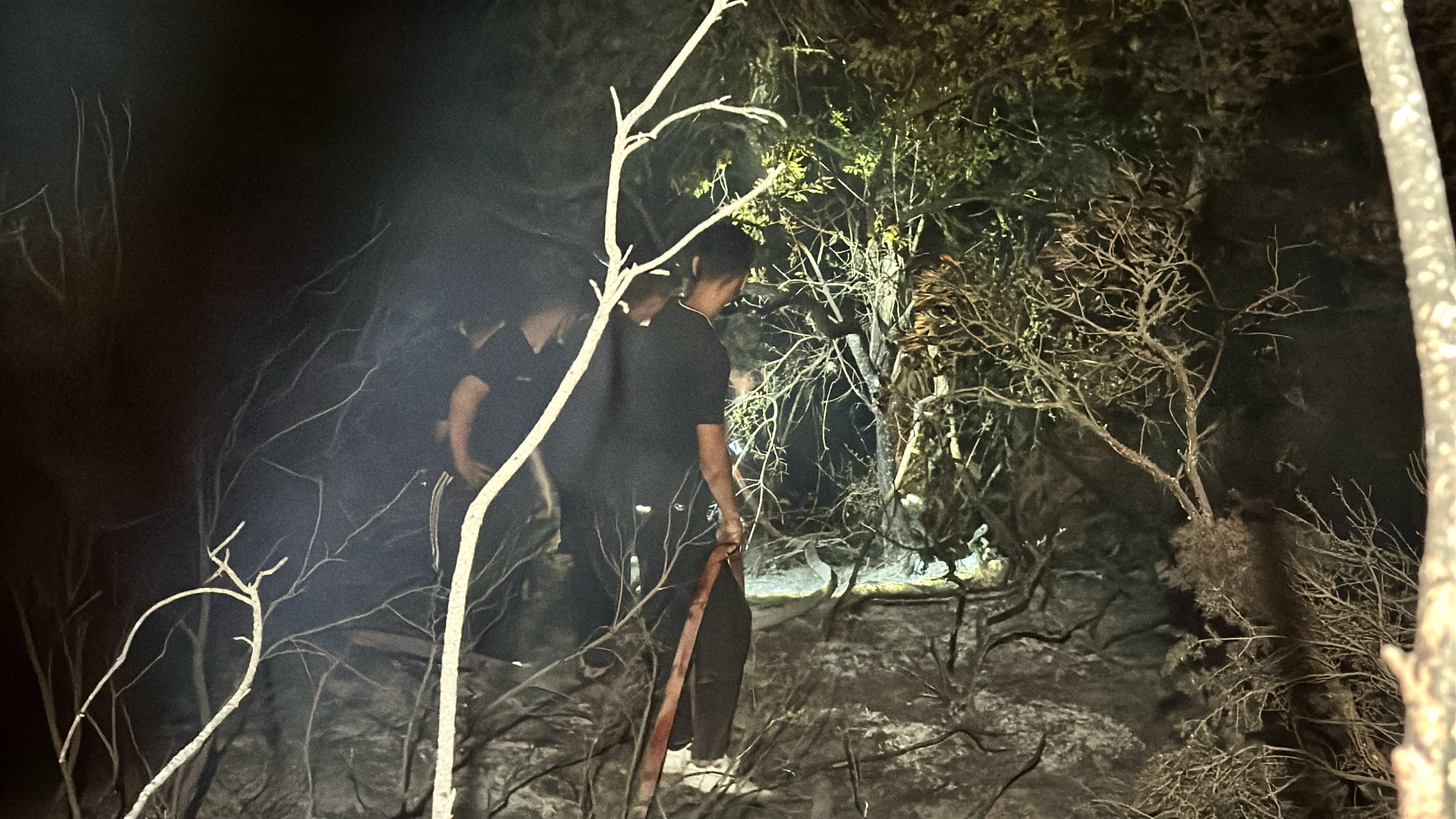 Gebze’de Orman Yangını! Alevler Geceyi Aydınlattı (3)