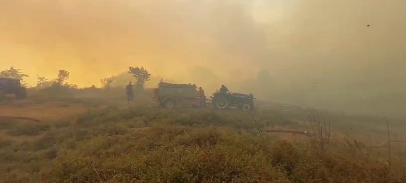 Gebze’deki Orman Yangınına Müdahale Devam Ediyor (1)
