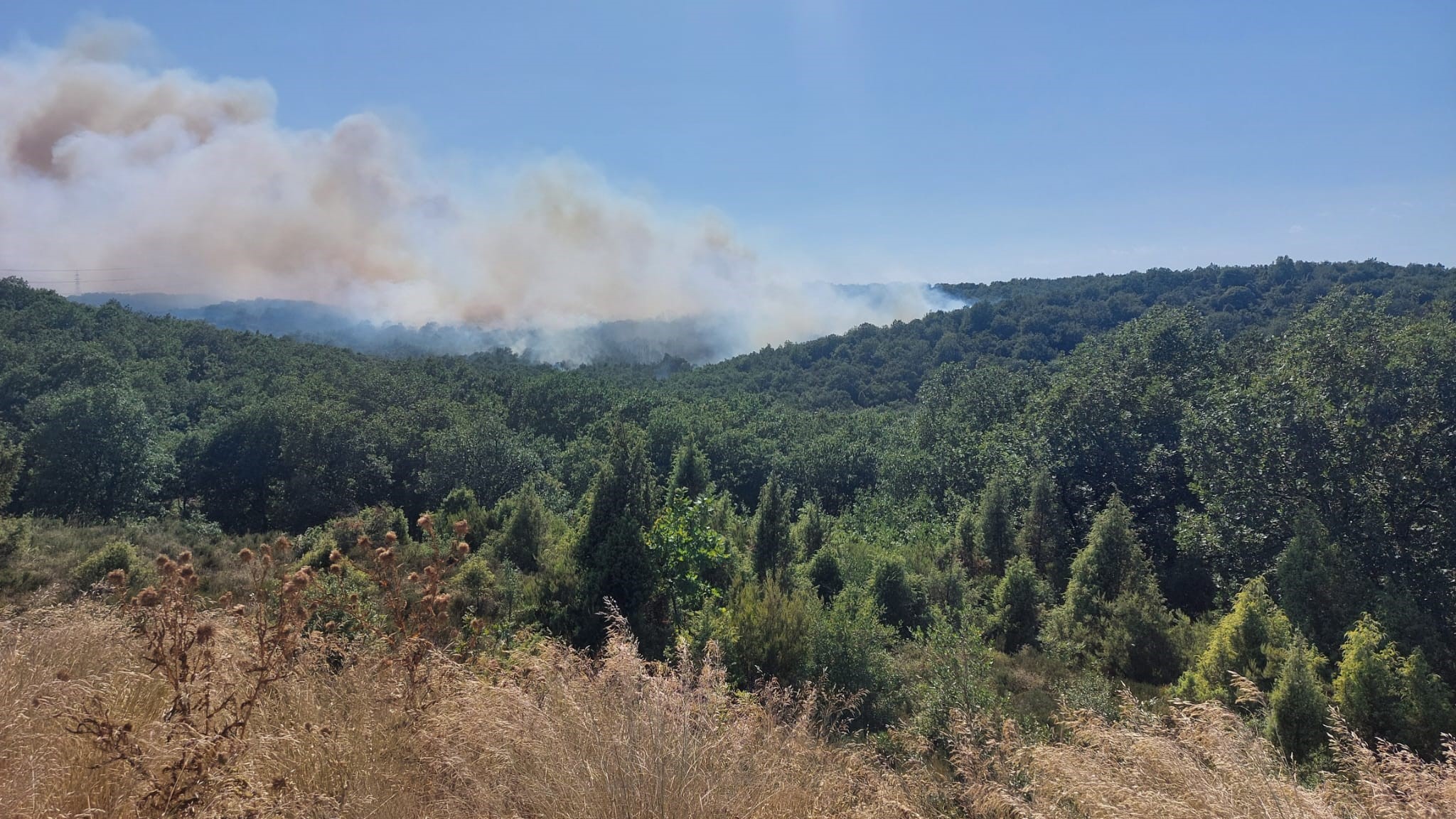 Gebze’deki Orman Yangınına Müdahale Devam Ediyor (3)