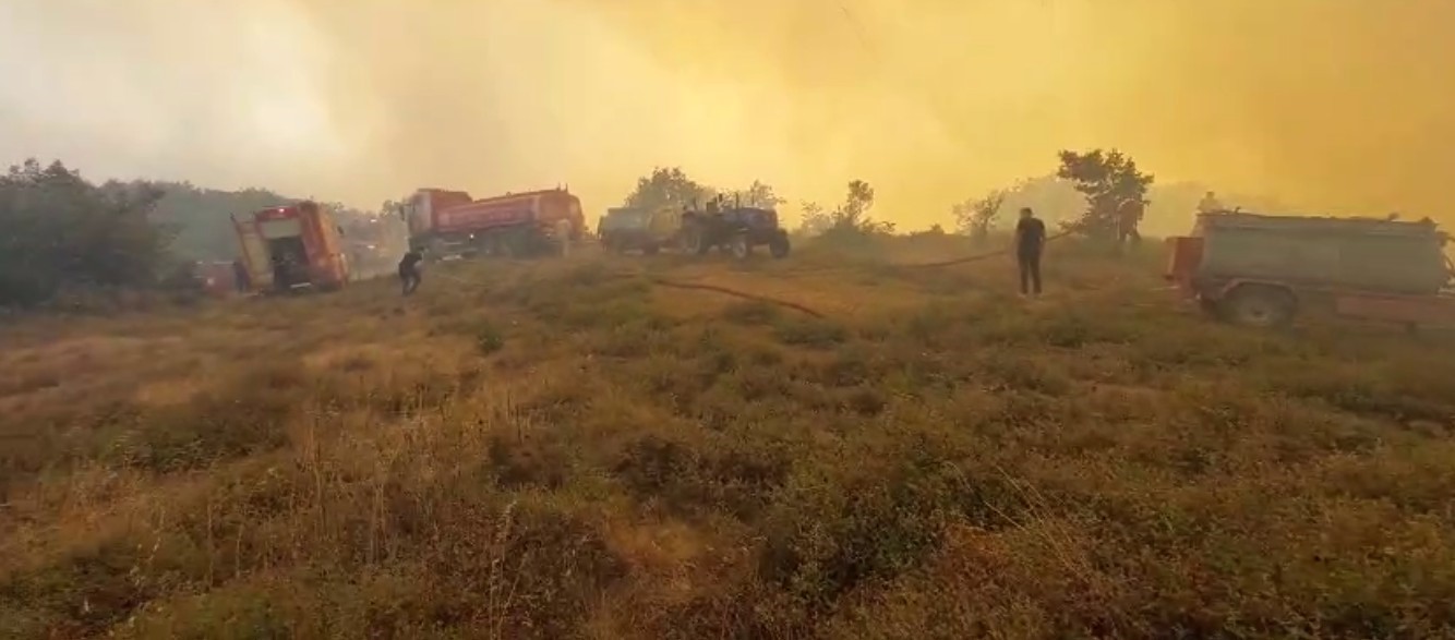 Gebze’deki Orman Yangınına Müdahale Devam Ediyor (4)
