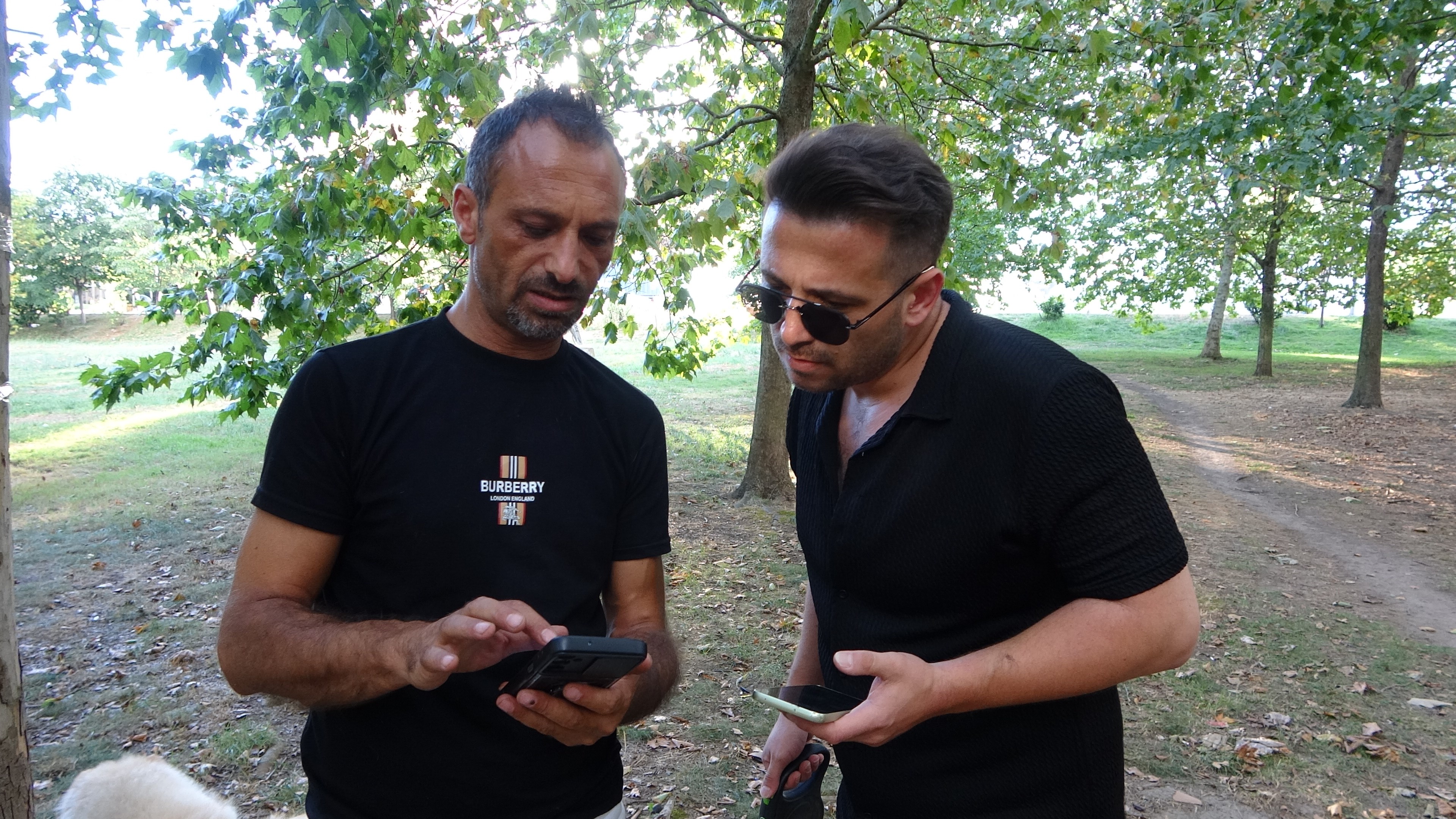 Gölcük'te Yürek Burkan Arayış! Kedisini Bulana 10 Bin Tl Ödül (4)