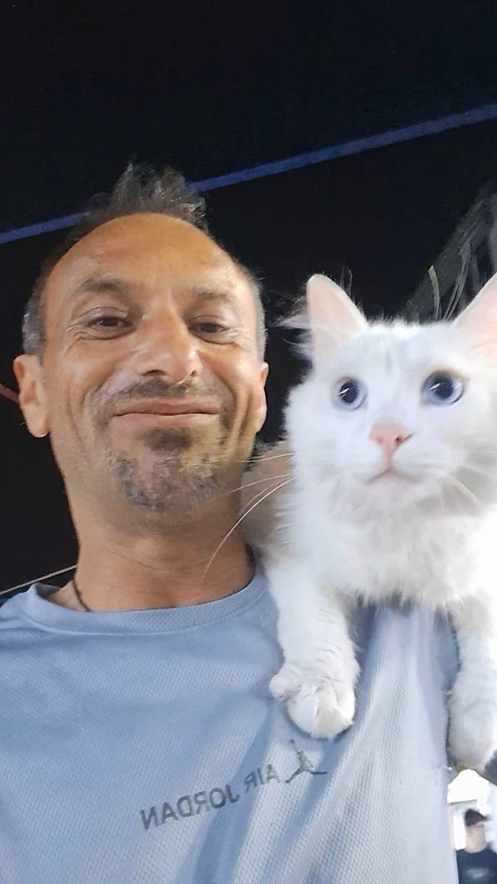 Gölcük'te Yürek Burkan Arayış! Kedisini Bulana 10 Bin Tl Ödül (9)