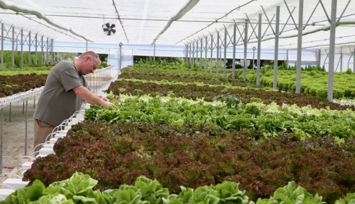 Kocaeli’de Yeni Nesil Tarım! Toprak Yok, İlaç Yok, İsraf Yok 5 (1)
