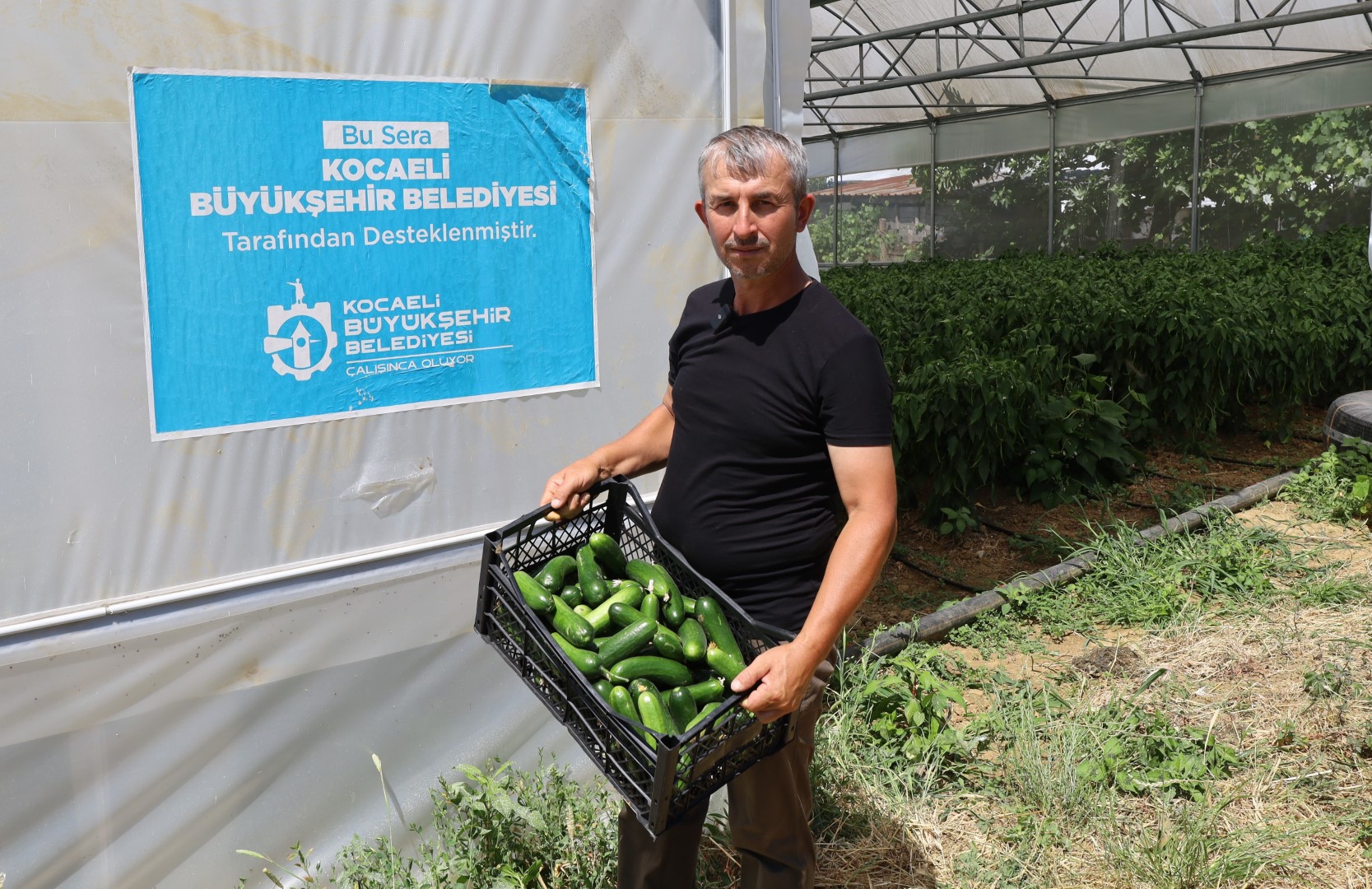 Modern Seralar Çiftçilerin Yüzünü Güldürdü (3)