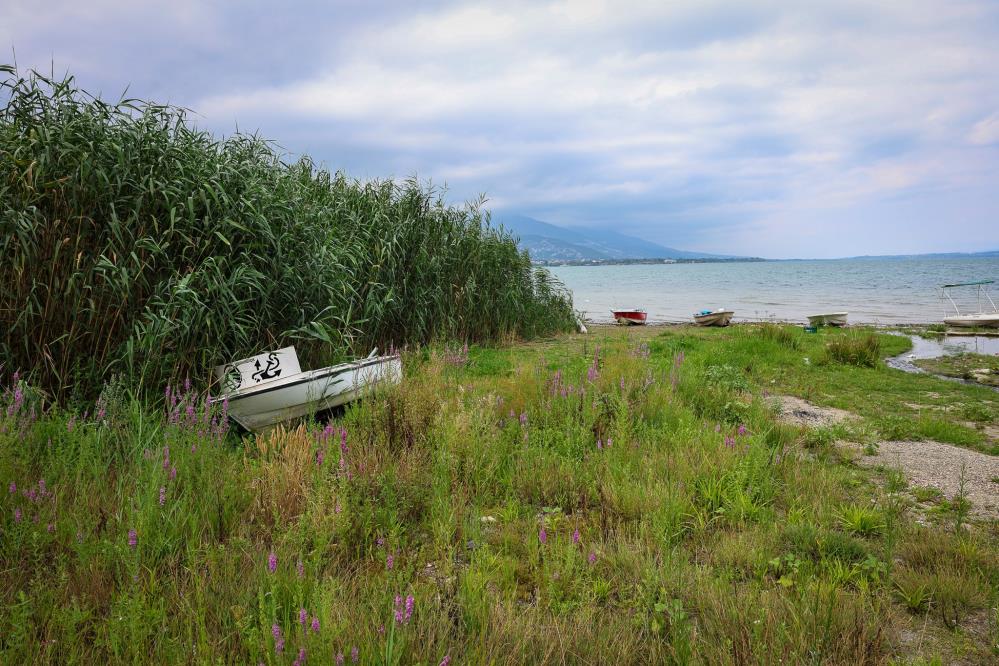 Sapanca Gölü Alarm Veriyor! Su Seviyesi Kritik Eşiğin Altına İndi (2)