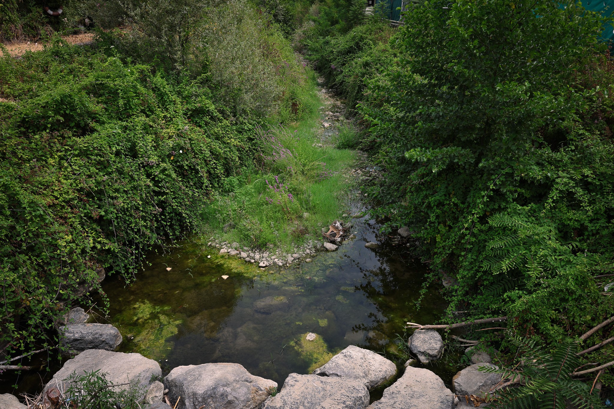 A W508986 10