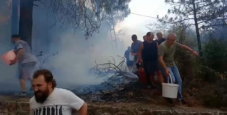 Alevlere Kova Kova Direniş! İzmit'te Mahalleli Orman Yangınına Koştu (3)
