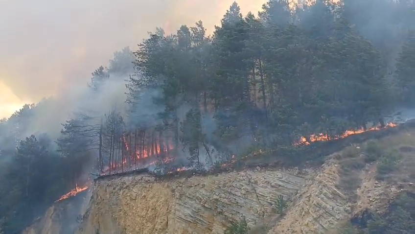 Bolu’da Orman Yangını 01