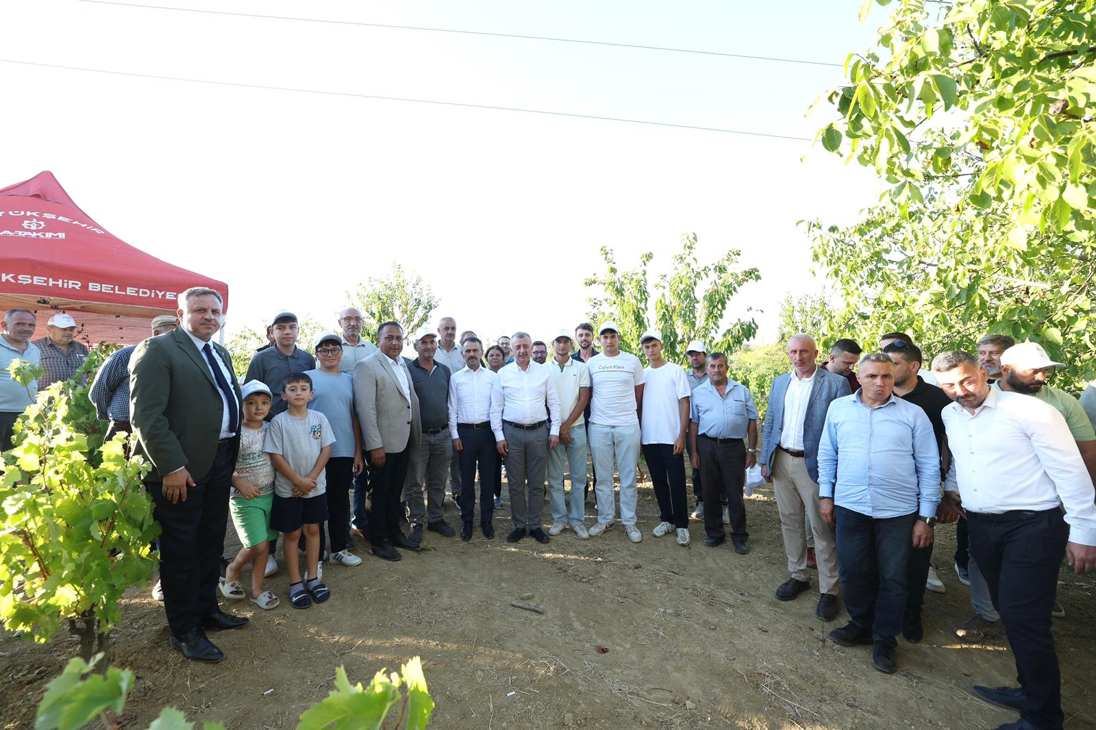 Büyükakın Emekçilerle Üzüm Hasadında (2)