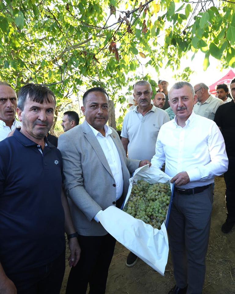 Büyükakın Emekçilerle Üzüm Hasadında (4)