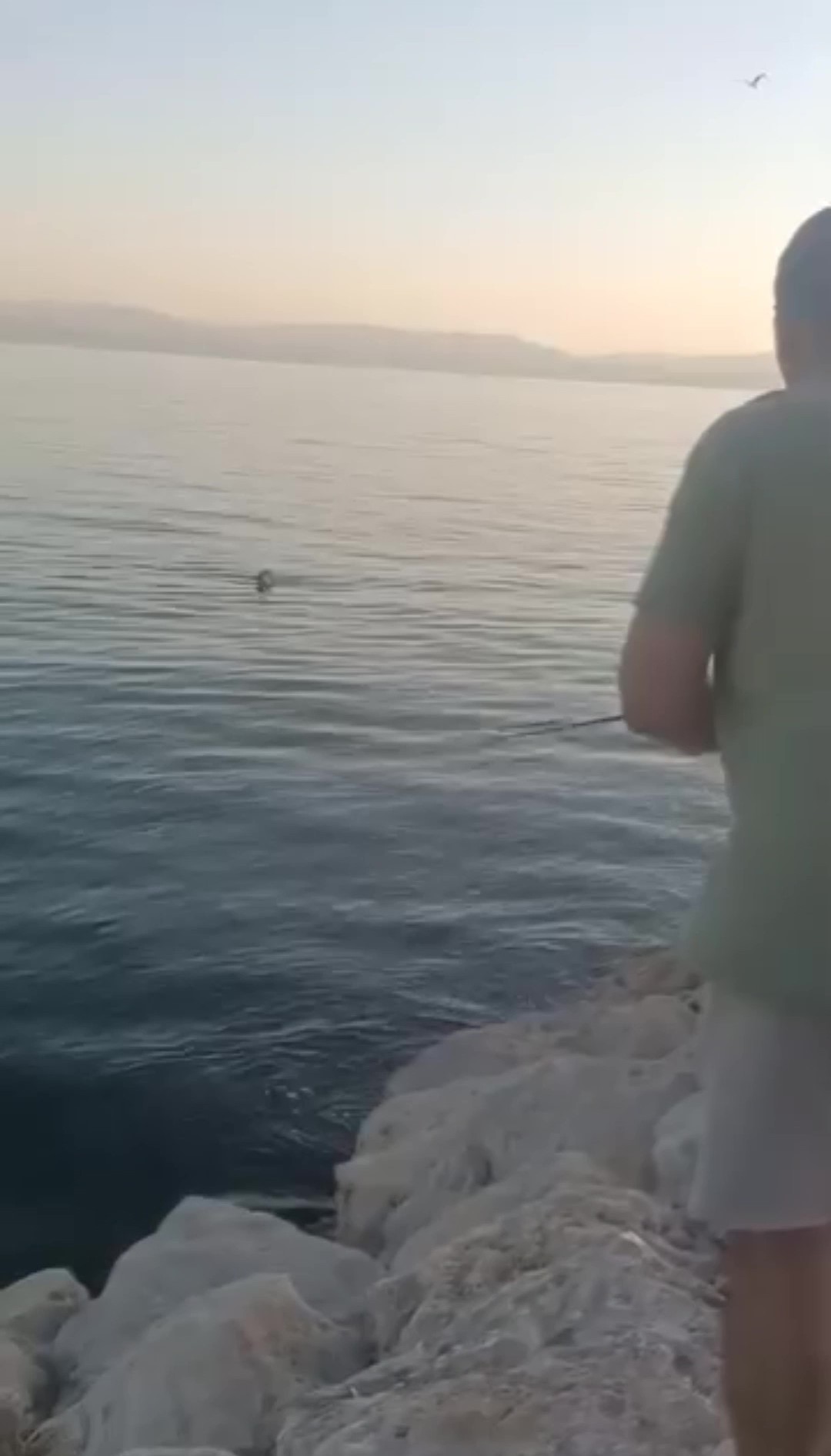 Darıcalı Balıkçıya Oltada Sürpriz! 03