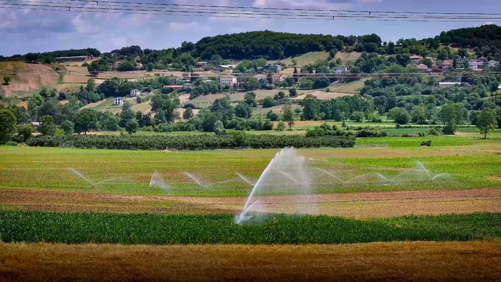 Kandıra’da Tarım Verimliliği Arttı! Artık 6 Kez Hasat Yapılıyor 5