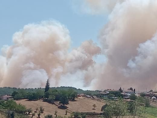 Karamürsel’de Orman Yangını Alarmı (1)