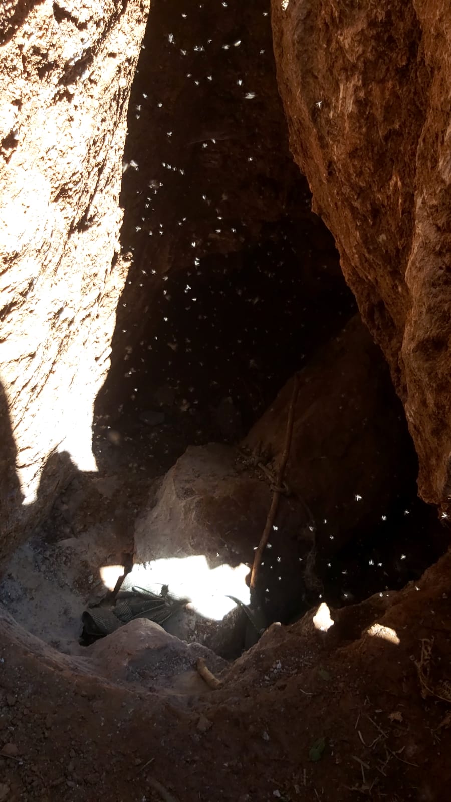 Kartepe Altıoluk Yaylası’nda Kaçak Kazı Şüphesi (4)