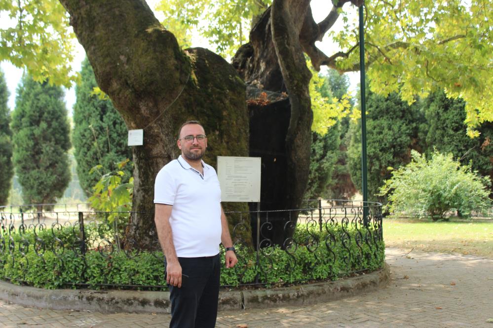 Kartepe’nin 930 Yıllık Çınarı! Geçmişten Günümüze Yaşayan Tarih (5)