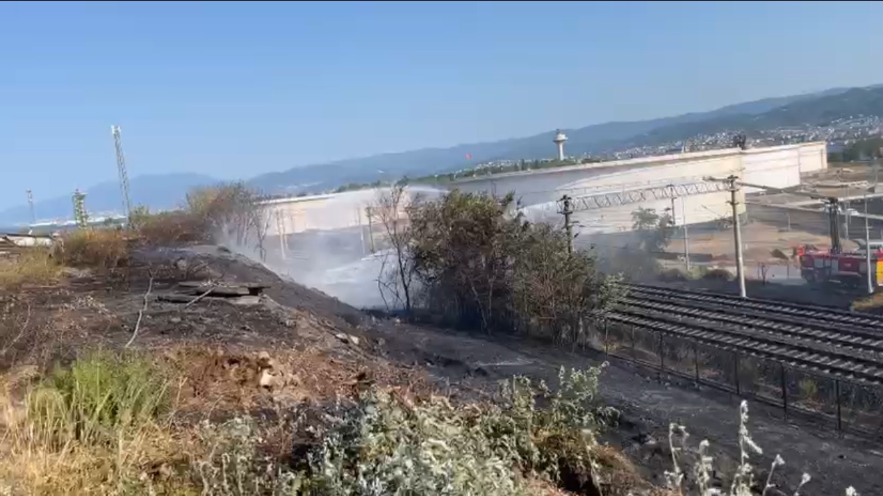 Körfez Yangın