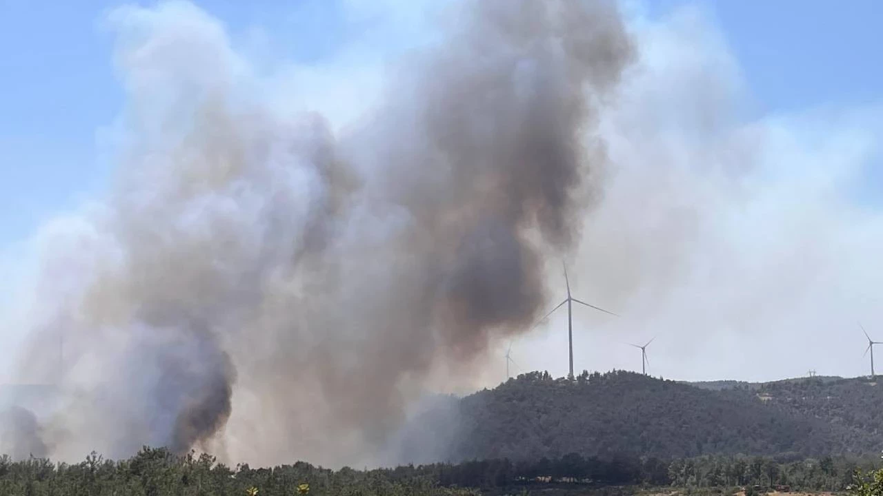 Malatya’da Orman Yangını-1