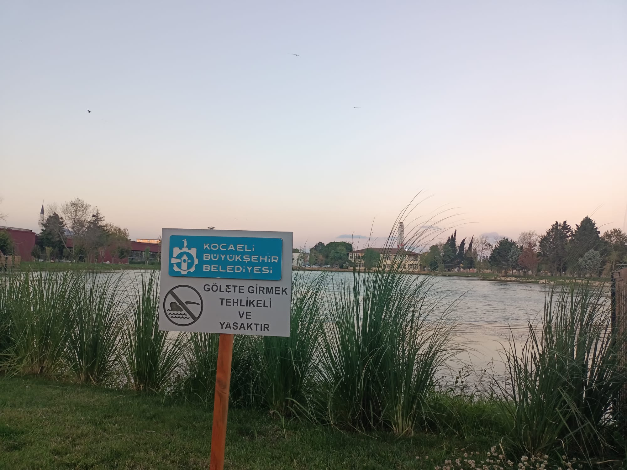 Milletbahçesi (6)