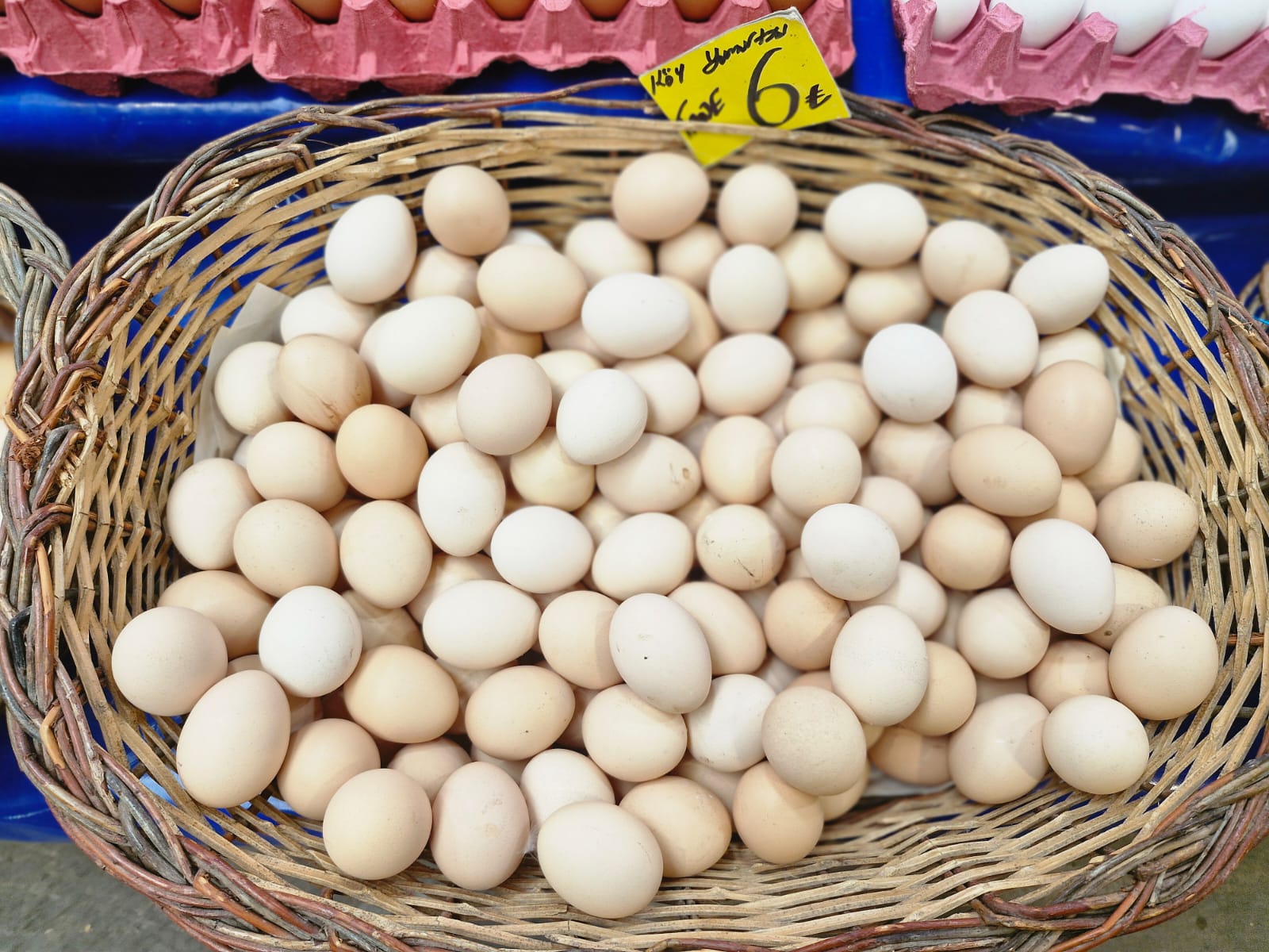 Perşembe Pazarın Şampiyonu Bamya (11)
