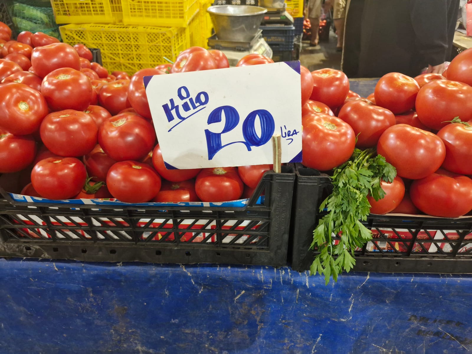 Perşembe Pazarı’nda Kışlık Telaşı Başladı (15)