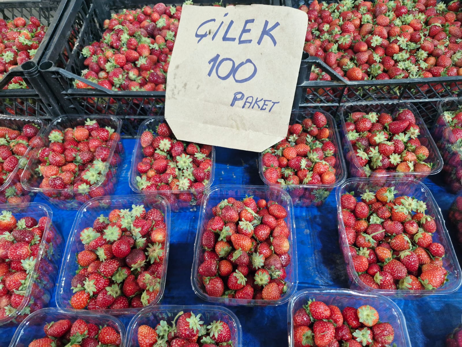 Perşembe Pazarı’nda Kışlık Telaşı Başladı (18)