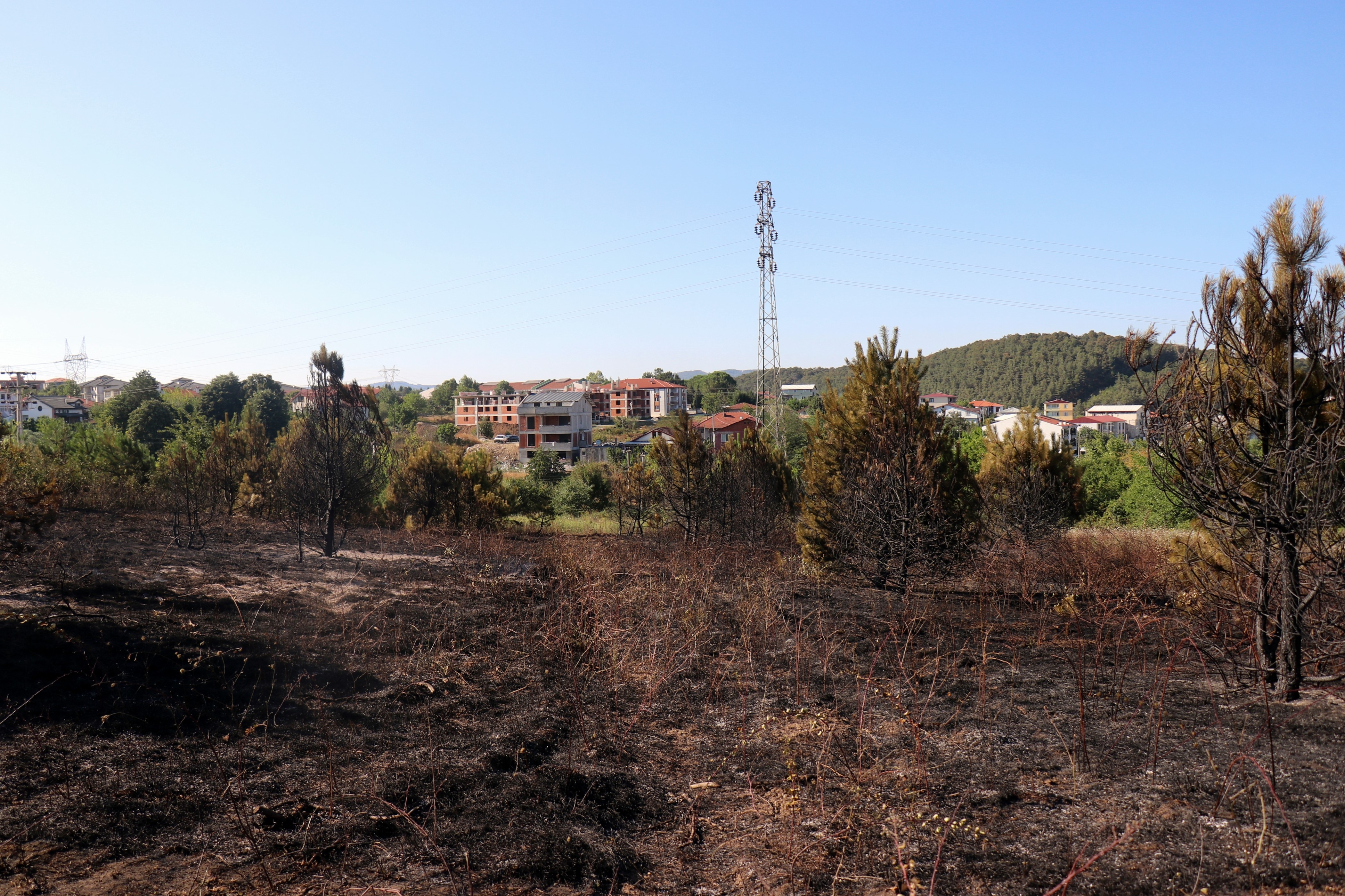 Sakarya’da Yangın Paniği! Halk Seferber Oldu 09